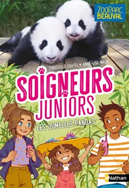 Soigneurs juniors. Vol. 9. Les jumelles pandas | Christelle Chatel, Anne-Lise Nalin