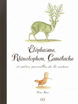Eléphasme, rhinolophon, caméluche : et autres merveilles de la nature | Philippe Mignon