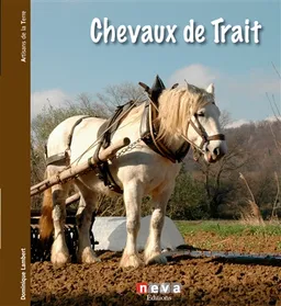 Chevaux de trait : le passé a de l'avenir | Dominique Lambert