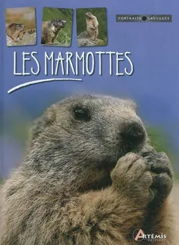 Les marmottes | Maurice Dupérat