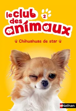 Le club des animaux. Vol. 2. Chihuahuas de star | Christelle Chatel, Sophie Rohrbach