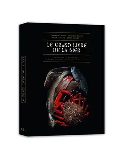 Le grand livre de la mer | Sonia Bichet, Emmanuel Pilon, Nolwenn Corre, Julien Lemarié