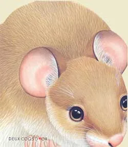 Le rat des champs | Lorella Rizzatti