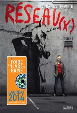 Réseau(x). Vol. 1 | Vincent Villeminot