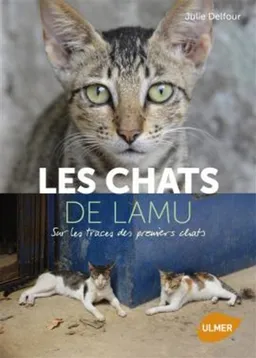 Les chats de Lamu : sur les traces des premiers chats | Julie Delfour