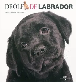 Drôle de labrador | Araldo De Luca, Giorgio Ferrero