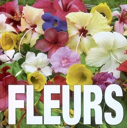 Fleurs | Valeria Manferto De Fabianis, Ovidio Guaita