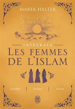 Les femmes de l'islam : intégrale | Marek Halter
