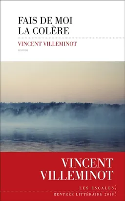 Fais de moi la colère | Vincent Villeminot
