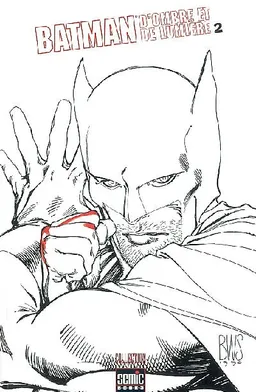 Batman : d'ombre et de lumière. Vol. 2 | 