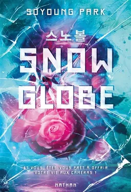 Snowglobe. Vol. 1 | Soyoung Park