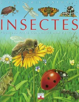 Les insectes : pour les faire connaître aux enfants | Emilie Beaumont, Marie-Christine Lemayeur, Bernard Alunni