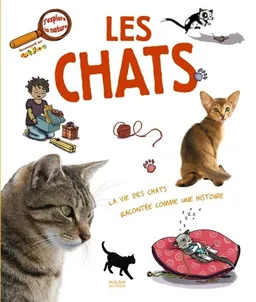 Les chats | Stéphanie Ledu, Sophie Lebot