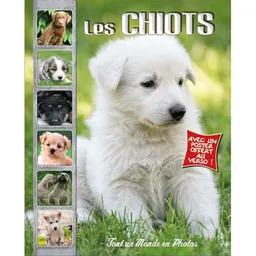 Les chiots | Christine Baillet