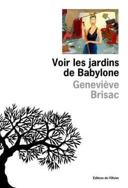 Voir les jardins de Babylone | Geneviève Brisac