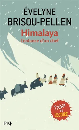 Himalaya : l'enfance d'un chef : un roman | Evelyne Brisou-Pellen, Eric Valli, Olivier Dazat