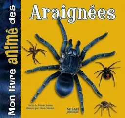 Mon livre animé des araignées | Valerie Davies, Simon Mendez