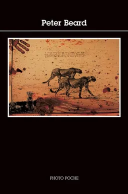 Peter Beard | Christian Caujolle