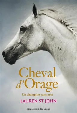 Cheval d'orage. Vol. 1. Un champion sans prix | Lauren St John