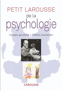 Petit Larousse de la psychologie : grandes questions, notions essentielles | Sylvie Angel, Corinne Antoine