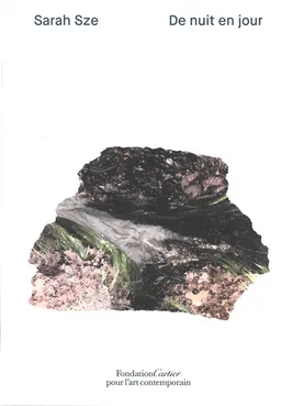Sarah Sze : de nuit en jour. Sarah Sze : night into day | Adeline Pelletier, Bruno Latour, Jean Nouvel, Leanne Sacramone
