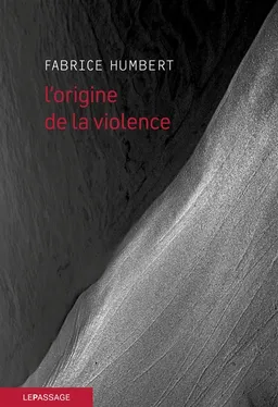 L'origine de la violence | Fabrice Humbert