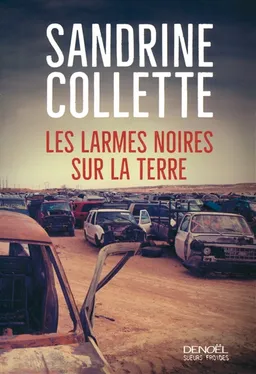 Les larmes noires sur la terre | Sandrine Collette