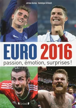 Euro 2016 : passion, émotion, surprises ! | Jérôme Bureau, Dominique Grimault
