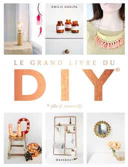Le grand livre des DIY (do it yourself) | Emilie Guelpa