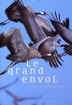 Le grand envol | Guilhem Lesaffre