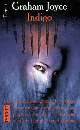 Indigo | Graham Joyce