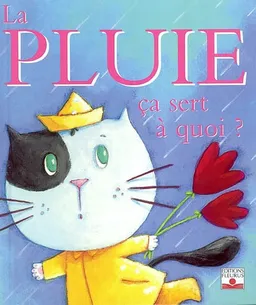 La pluie, ça sert à quoi ? | Sophie Bellier