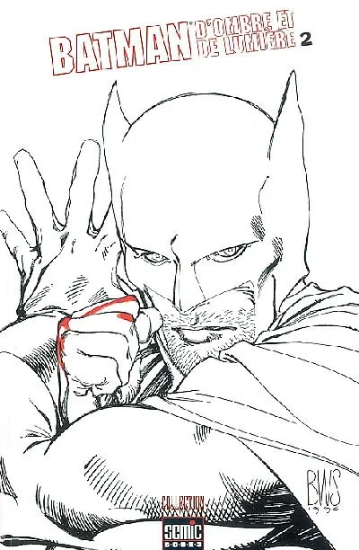 Batman : d'ombre et de lumière. Vol. 2 | 
