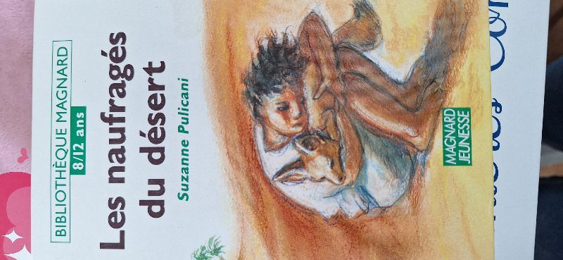 Les Naufragés du désert | Suzon Pulicani-Varnier