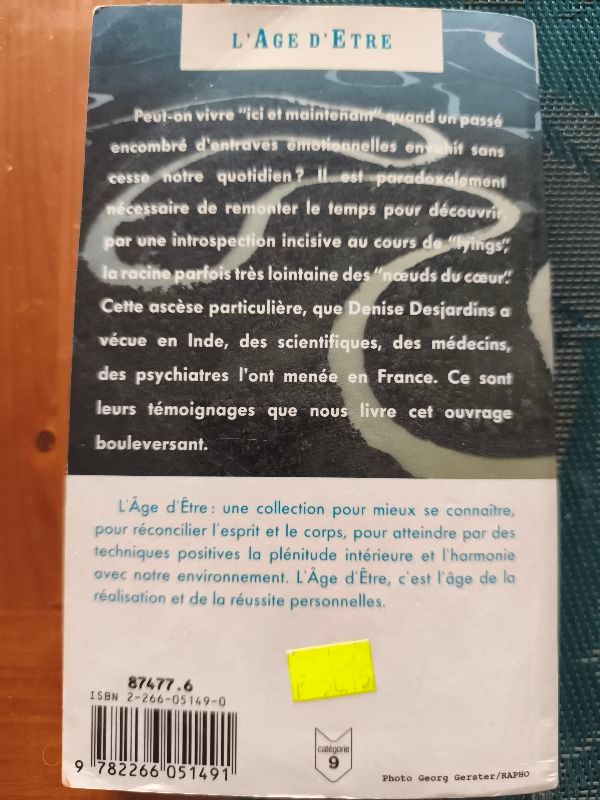 La mémoire des vies antérieures : ascèses et vies successives | Denise Desjardins