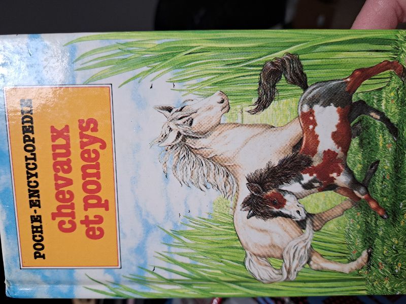 Chevaux et poneys | 