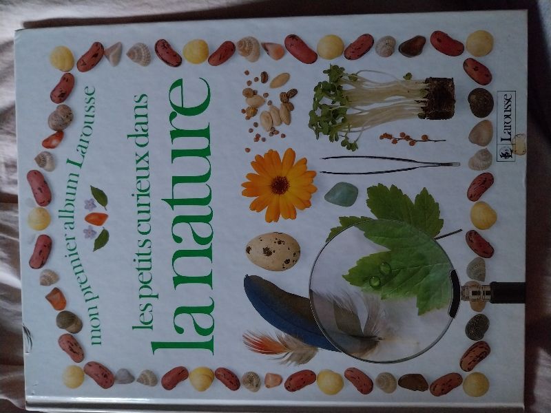 Les Petits curieux dans la nature | Angela Wilkes