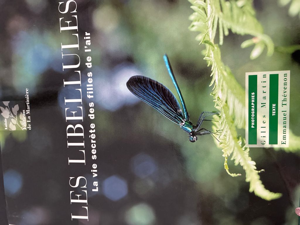 Libellules : la vie secrète des filles de l'air | Emmanuel Thévenon, Gilles Martin, Gilles Martin