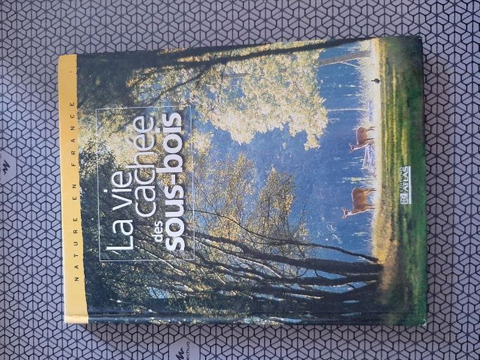 La vie cachée des sous-bois | Dominique Aubert