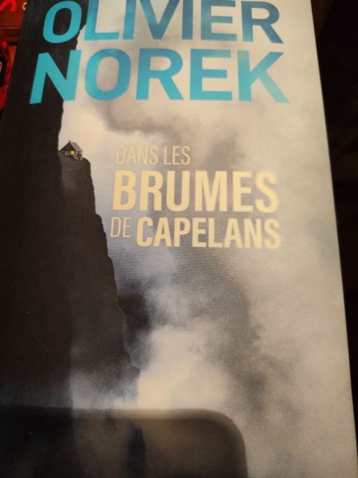 Dans les brumes de Capelans | Olivier Norek