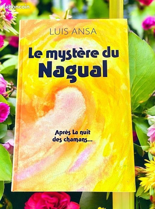 Le mystère du Nagual | Luis Ansa