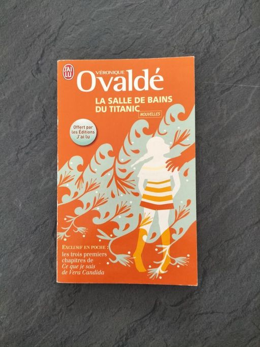 La salle de bains du titanic | Véronique Ovaldé