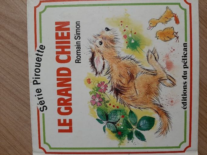 Le grand chien - série Pirouette | Romain Simon