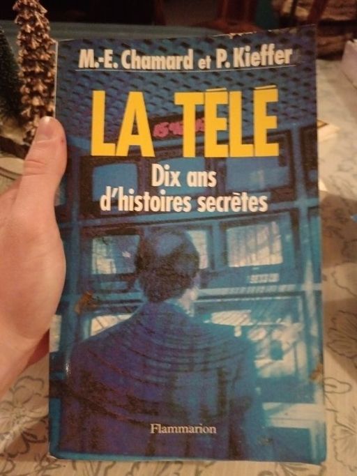 La Télé : dix ans d'histoires secrètes | Marie-Eve Chamard, Philippe Kieffer