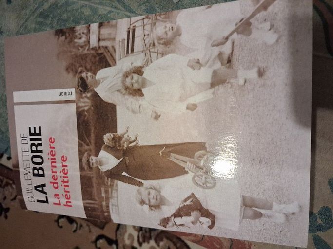 La dernière héritière | Guillemette de la borie