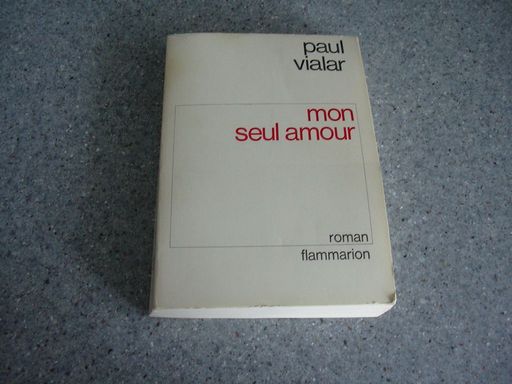mon seul amour | paul vialard