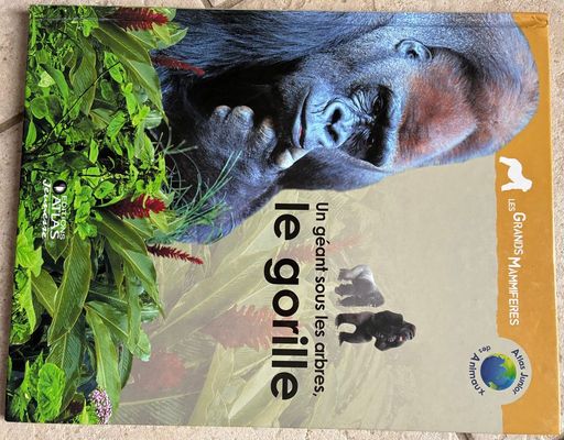 Un géant sous les arbres, le gorille | Bernadette Costa-Prades