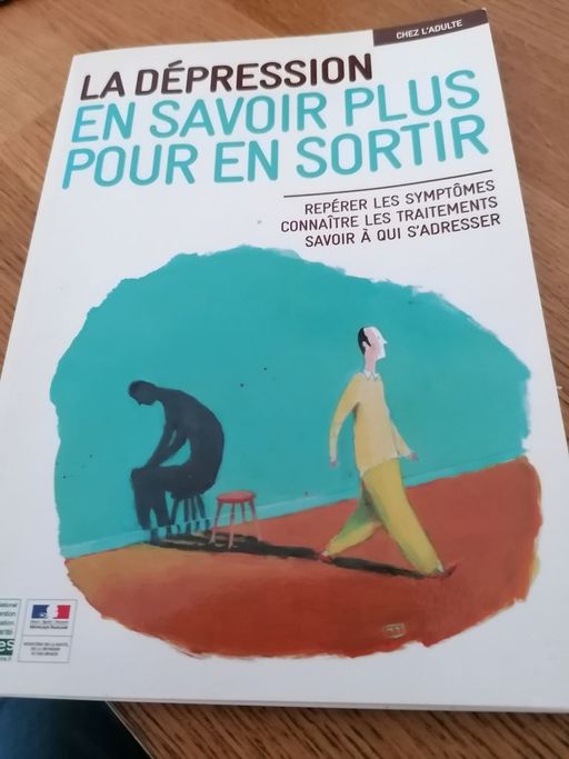 LA DEPRESSION en savoir plus pour en sortir | COLLECTIF réalisé par l'institut national de prevention pour la santé