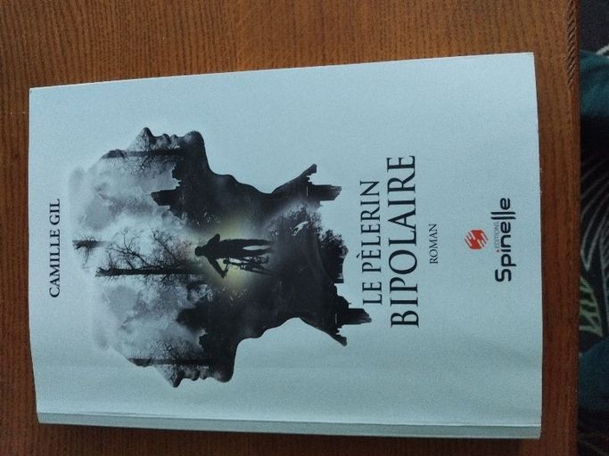 Le pèlerin bipolaire | Camille Gil