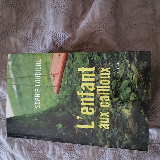 L'enfant aux cailloux | Sophie Loubiere